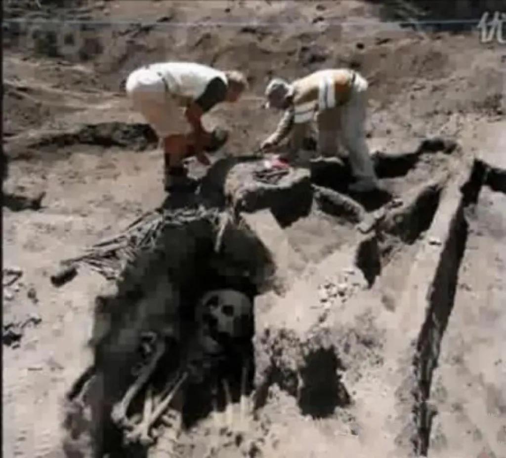 刷新三观的事件,世界自然奇闻异事大全