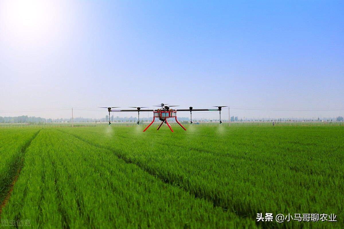 无人机喷药效果好还是人工好,无人机喷药有哪些功能