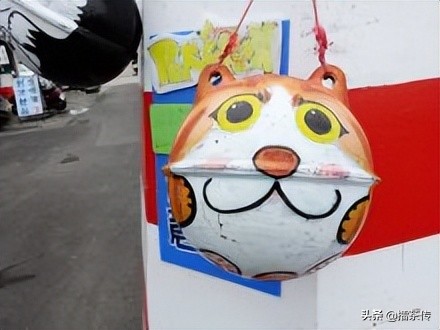 高美湿地最佳夕阳观景点,一个很美的湿地景区