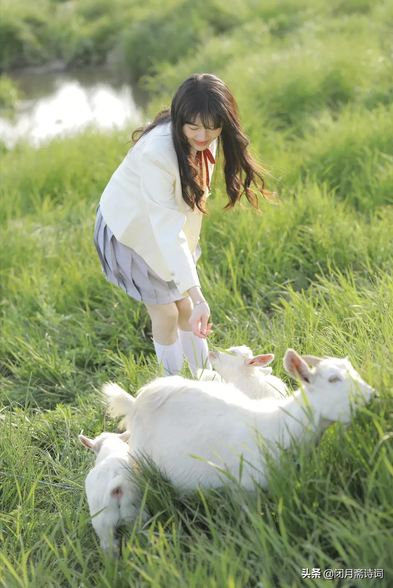 七律遣怀二十首诗,七律雪夜遣怀