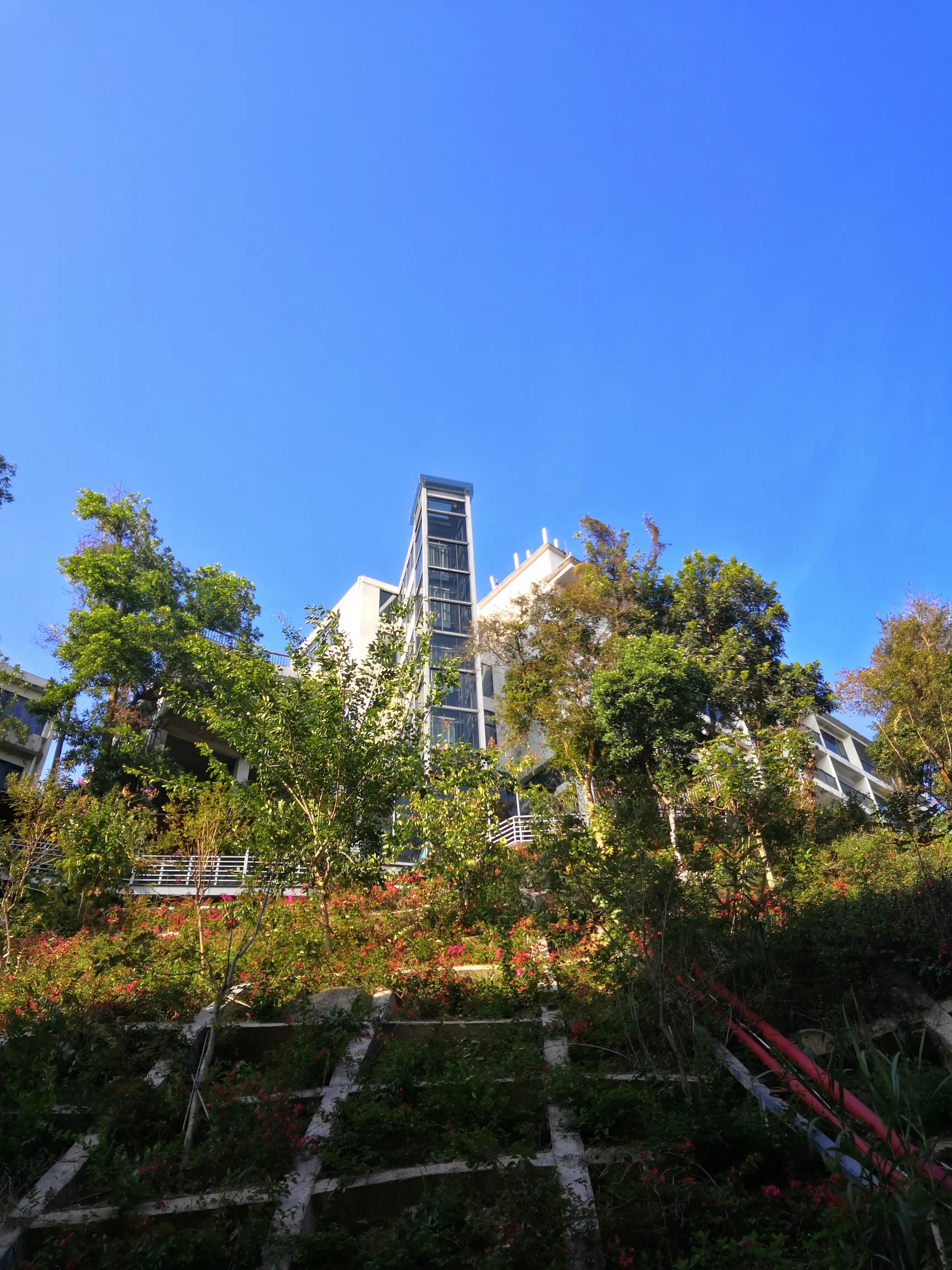 求水山公园,求水山公园游乐场