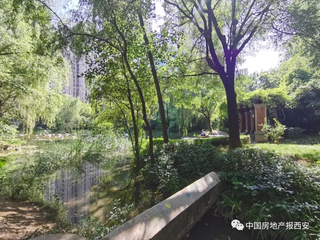 绿地世纪城前业委会,绿地世纪城a区业委会