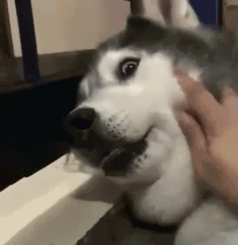 中国人下南洋如何白手起家,白手起家的人特征