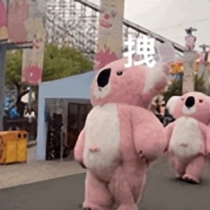 明星卖假东西翻车 (近期女星卖货翻车事件)