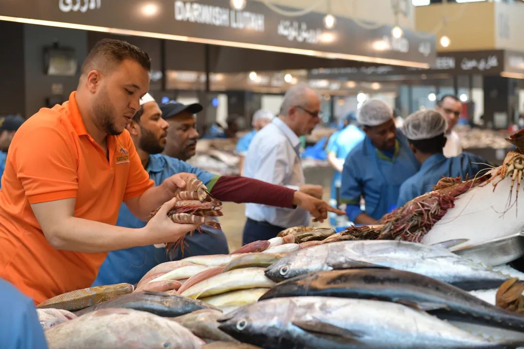 V世界｜夏天，在阿布扎比的11个“极致”体验