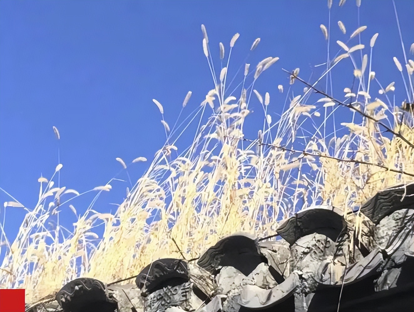 跟一线城市说拜拜后，她们后悔了吗？