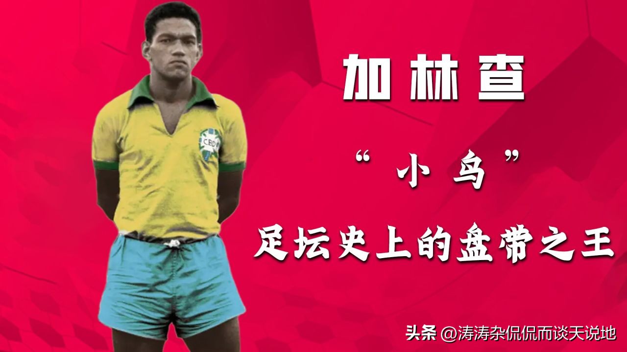 足球场上各个位置适合什么人,足球场上每个位置负责什么