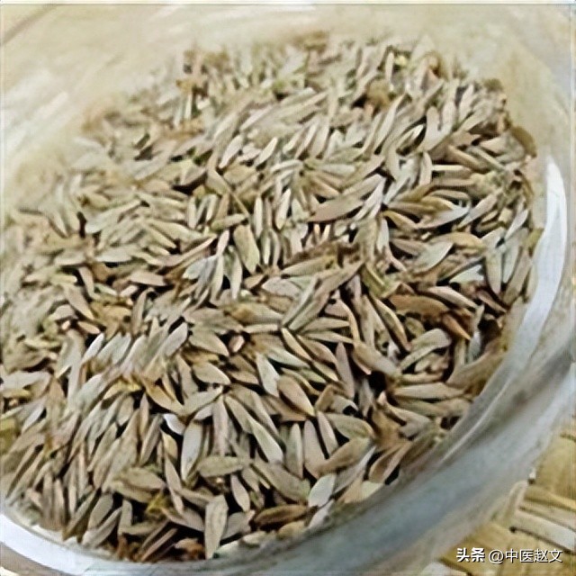 肾精亏虚怎么调理肾精,倪海厦治疗肾精亏虚的中药方子