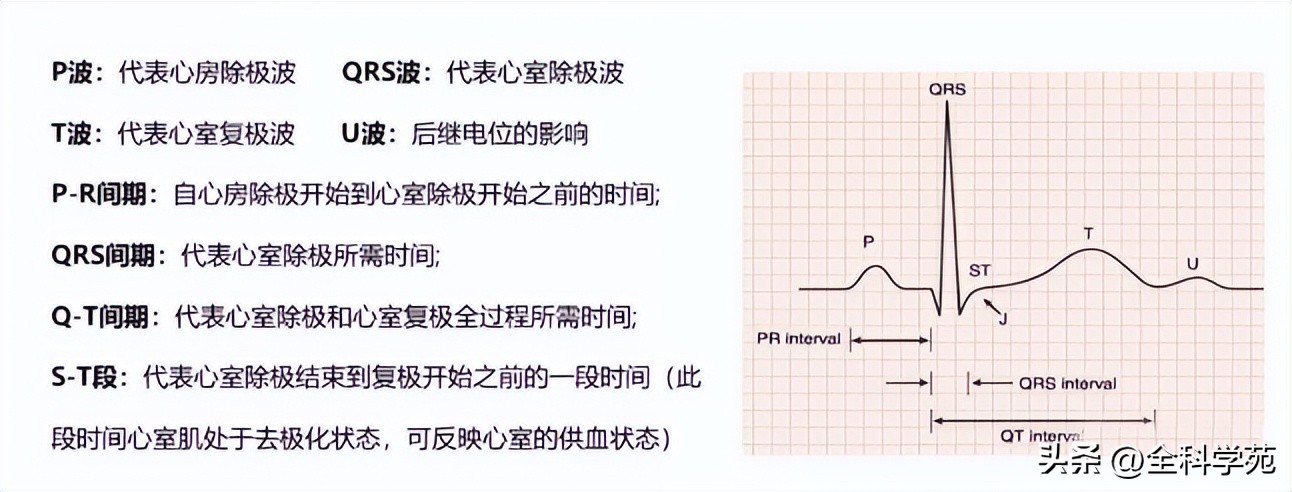 急救除颤仪麦邦aed7000,急救心脏除颤仪使用方法