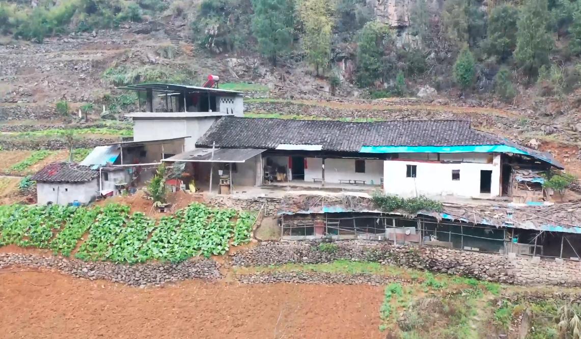 重庆天坑下的5户人家,重庆天坑底部住着5户人家