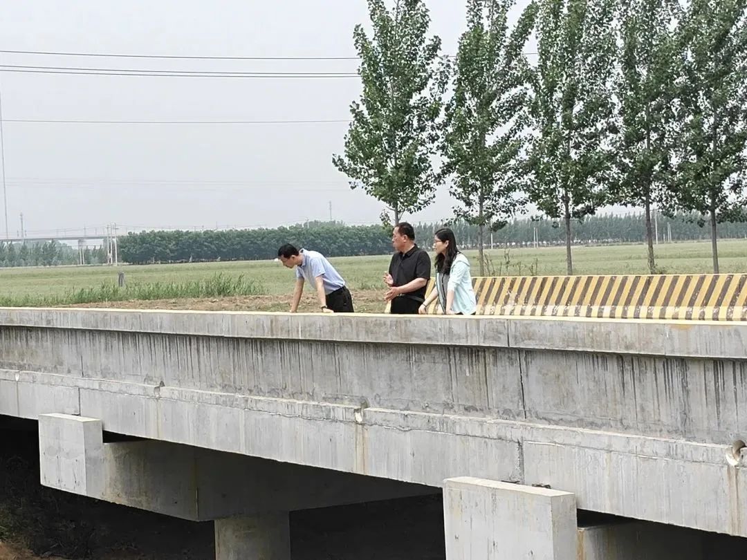 赵虎镇一周工作动态,德州赵虎镇5年计划