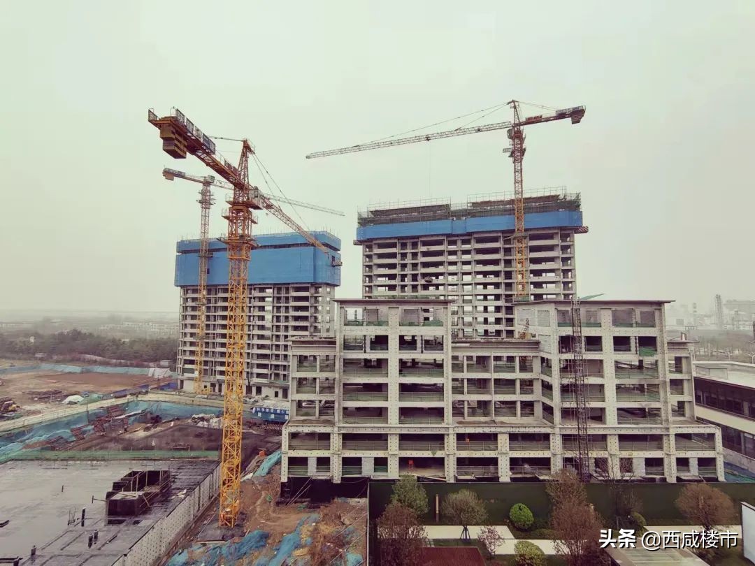 咸阳金科楼盘工程进度,咸阳所有在售楼盘价格