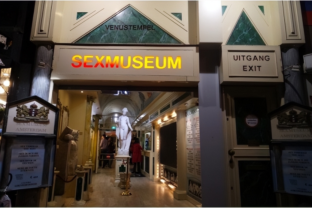 奇幻博物馆森林之旅,奇幻之旅博物馆