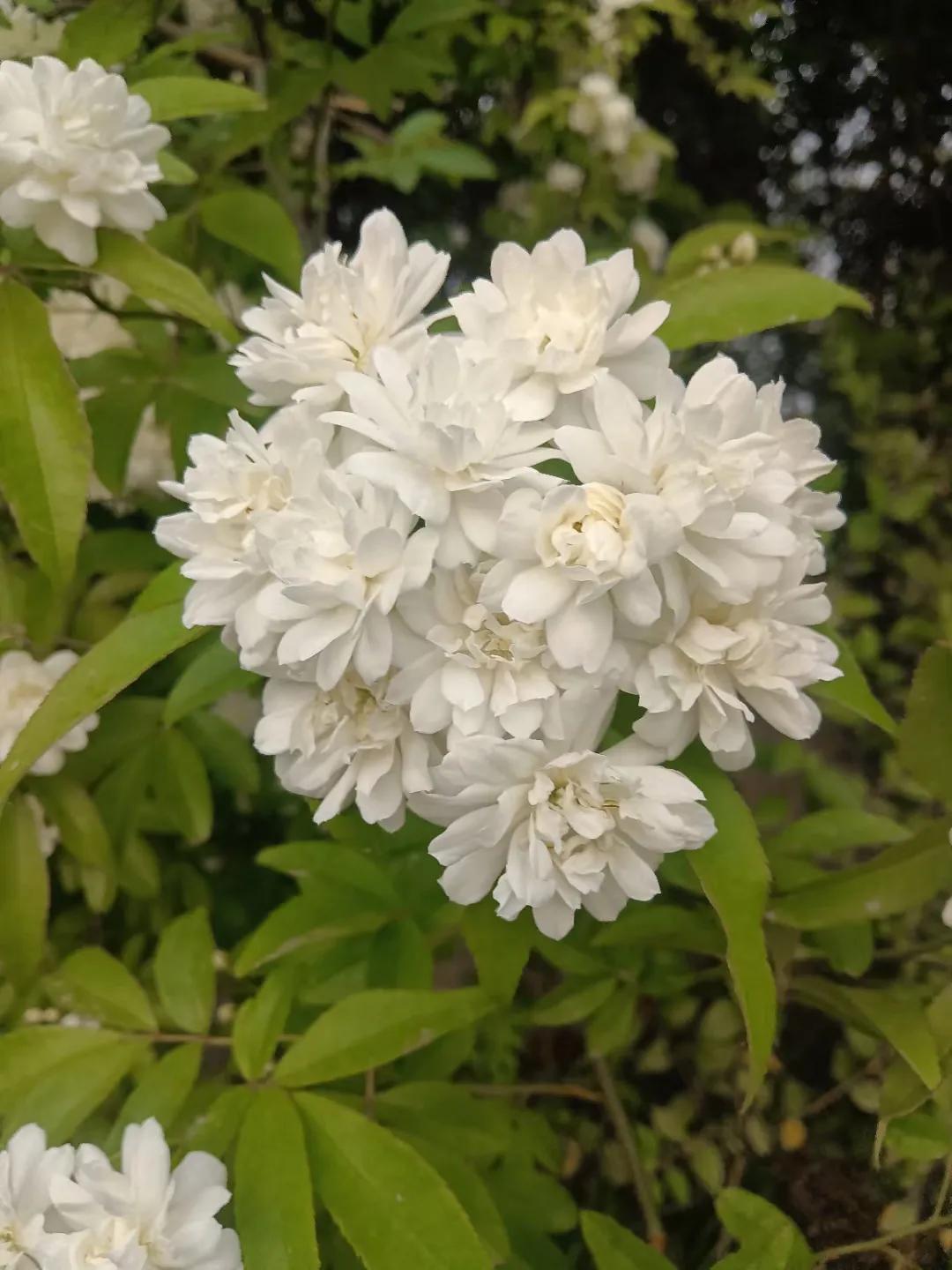 QQ时代的故事一（雪姐）