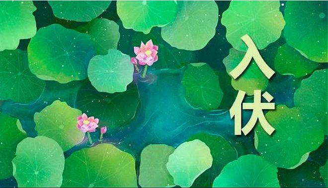 三伏天指的哪三伏,民间所说的三伏具体什么时间