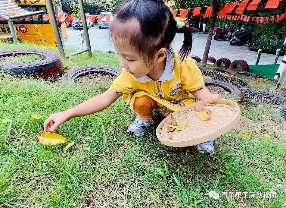 南充青苹果幼儿园艺术节,南充高坪区有几个青苹果幼稚园