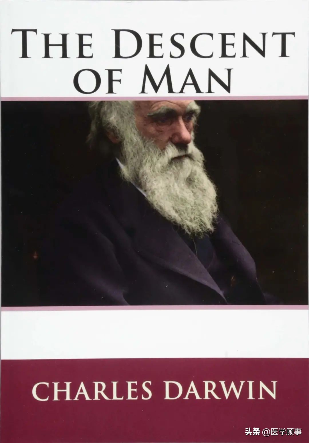 达尔文进化论爱情篇,达尔文进化论白种人