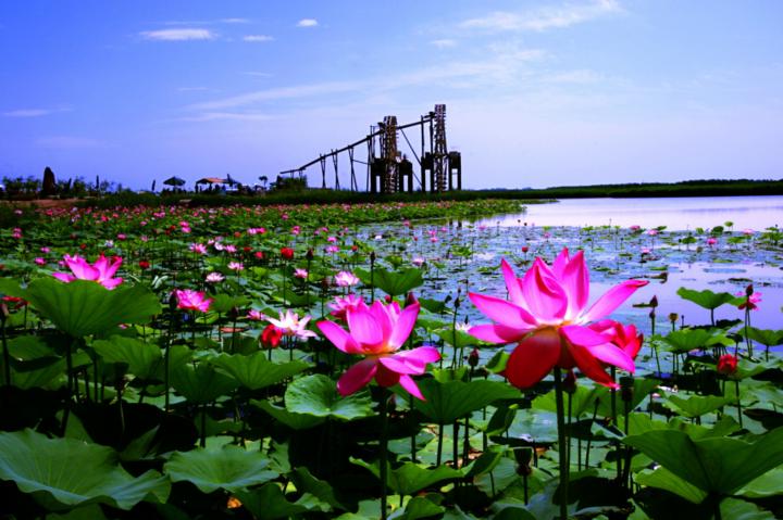 宁夏旅游攻略免费景观区 (宁夏最硬核的旅游景点)