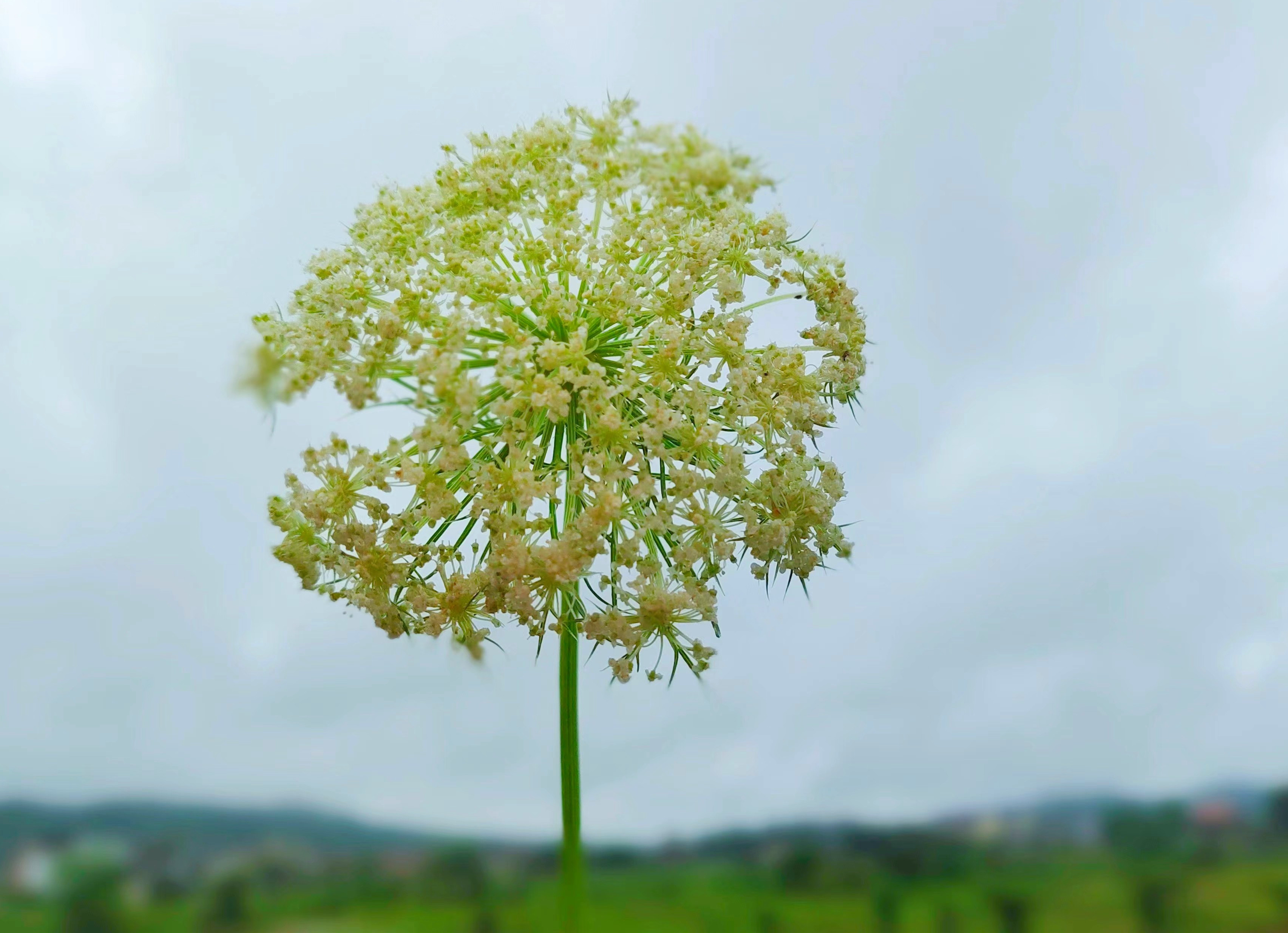 相亲见面两次可以发展到什么地步,同一个相亲对象介绍两次