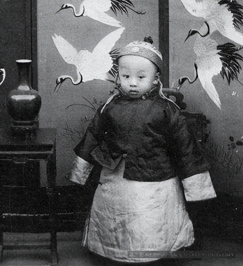 我的前半生溥仪自传内容简介,我的前半生溥仪自传小说