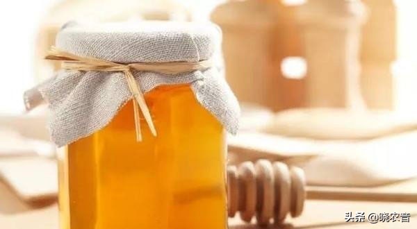 中国蜂蜜哪里产的最好,中国哪里产的蜂蜜最好