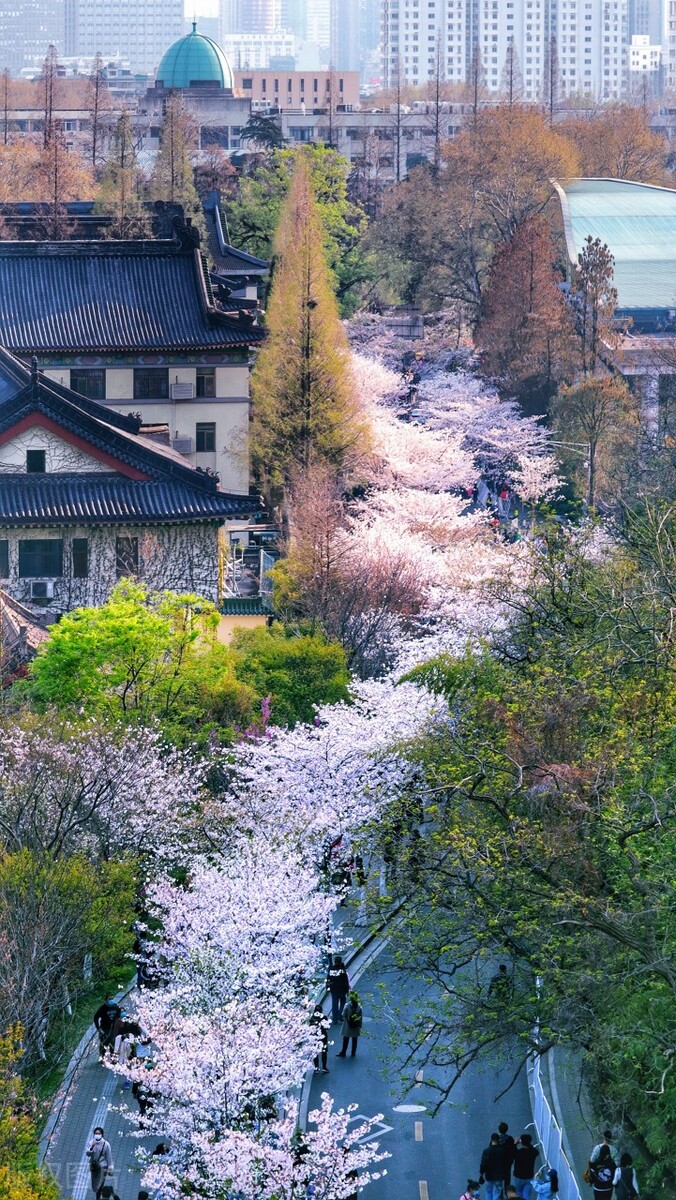 中国唯一“三省省会”，省内万人嫌，省外的台湾却对它情有独钟