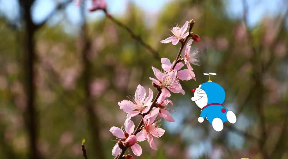 小众惊艳的成语,小众却惊艳的三字成语