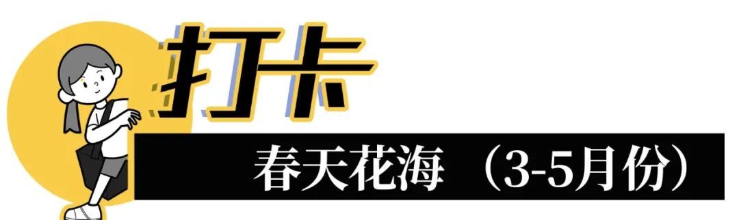 深圳3月14个赏花胜地全部免费,深圳清明节踏青赏花好去处