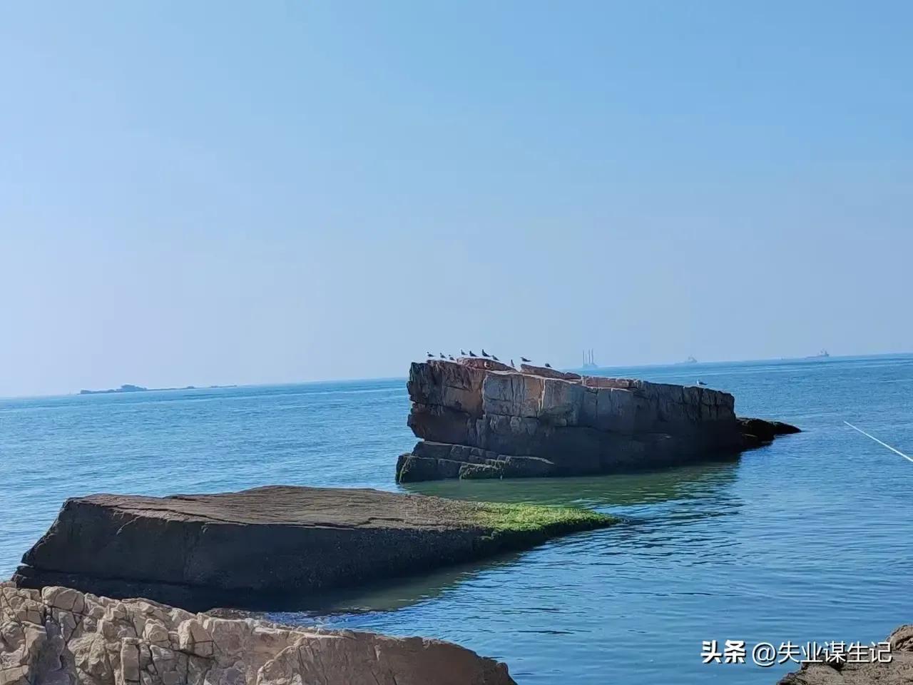 每日古文中学生,古文学习每日一篇