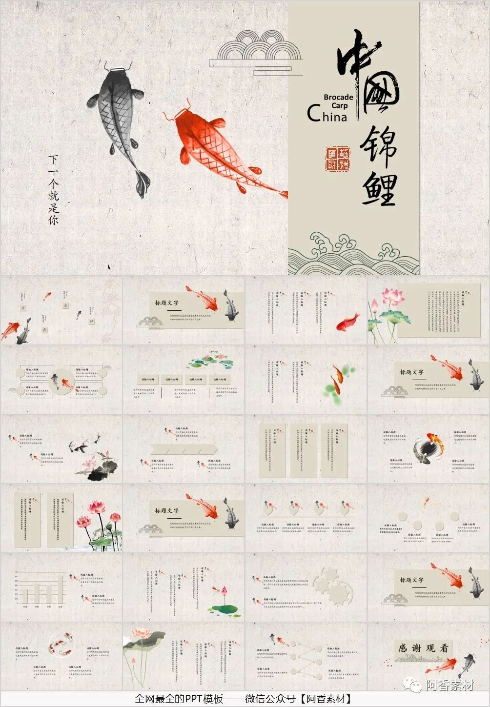 【1029期】52套锦鲤主题PPT模板