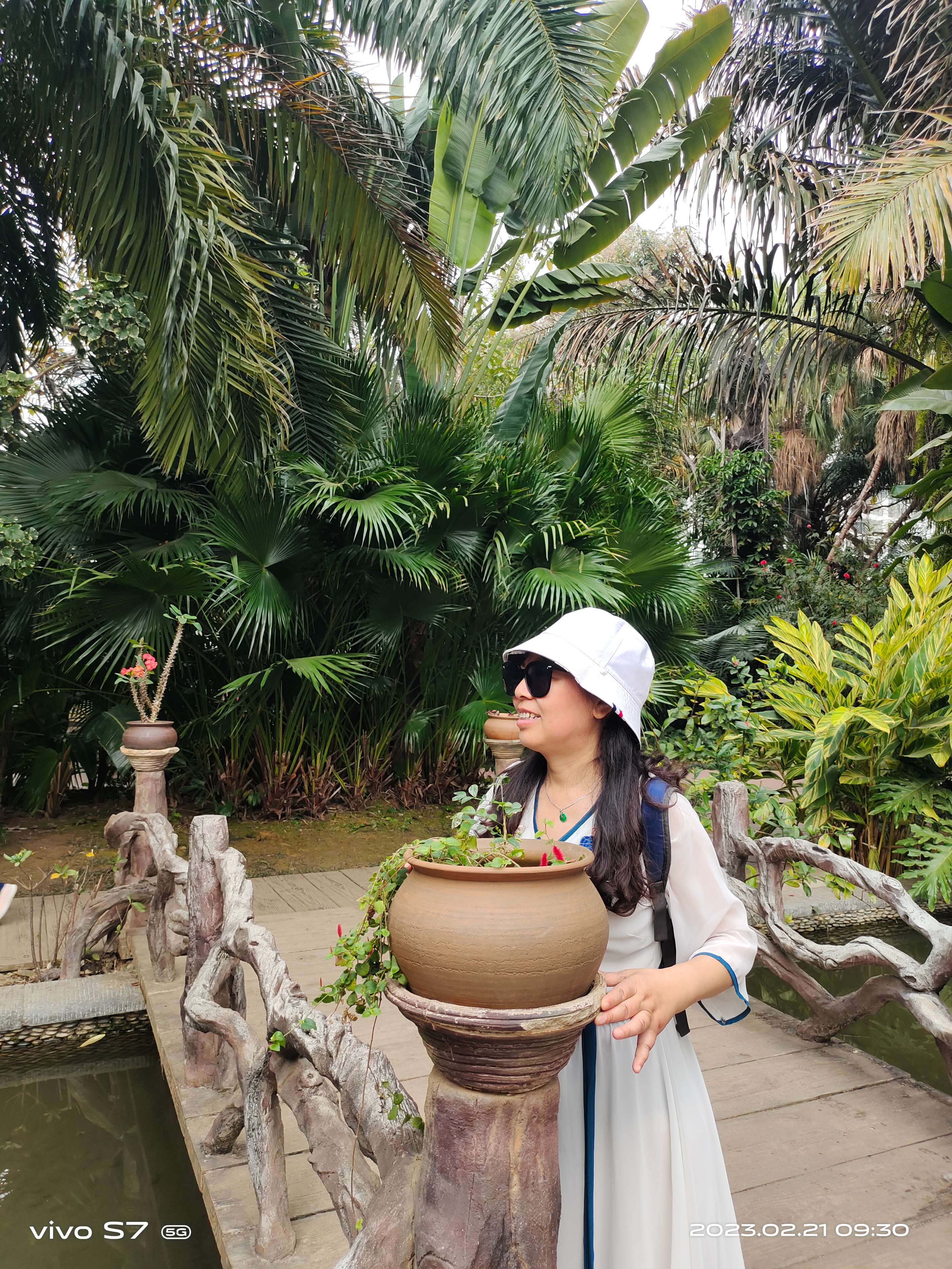 西双版纳曼听园攻略,云南西双版纳打卡曼听公园