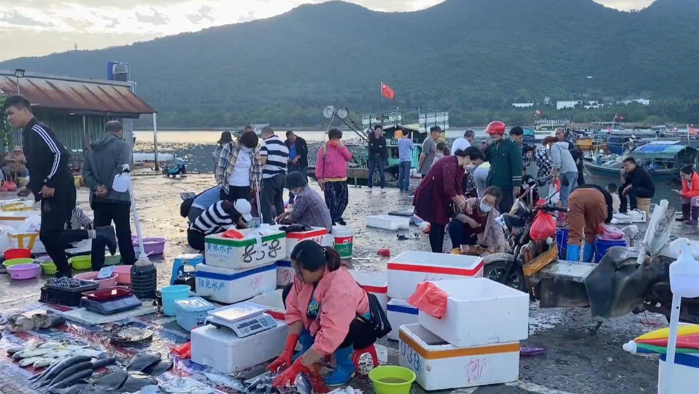 三亚大鲍鱼批发市场,三亚去哪里买海鲜最便宜