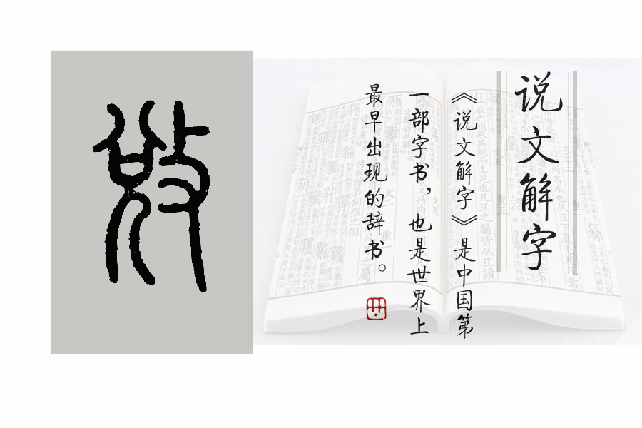 说文解字第1124课,说文解字第86集