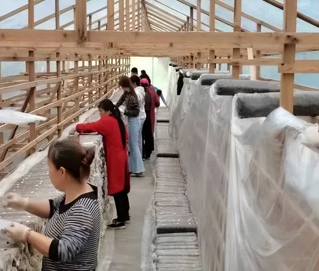 涓婇ザ閾呭北鐣叉棌椋庢儏,澶╀笅show