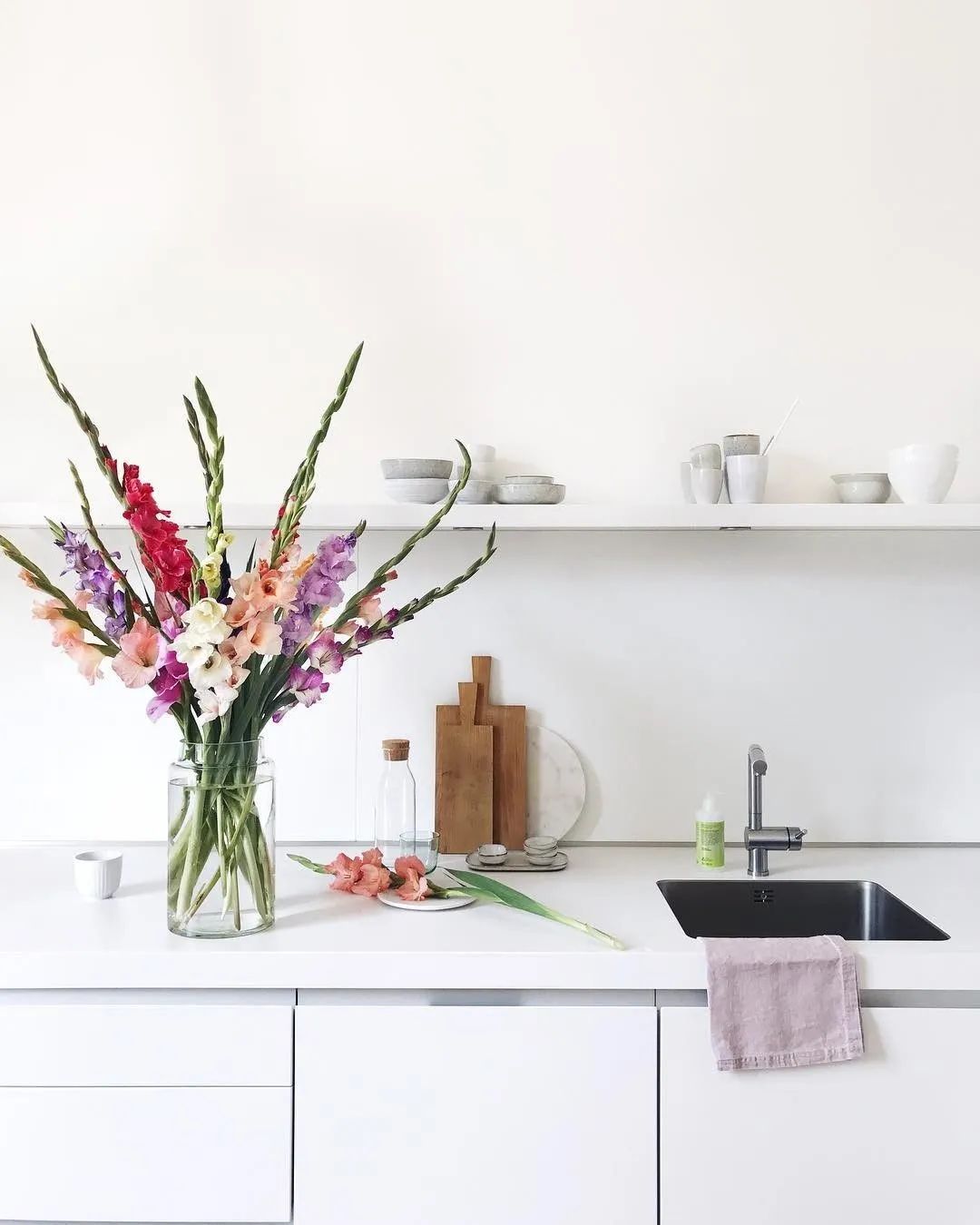 剑兰，锦绣山河，如花美剑｜花名册No.00179