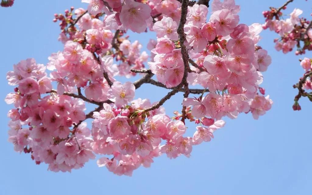 内成外就，生命治理是内社会治理是外。个人身体是内个人事业是外