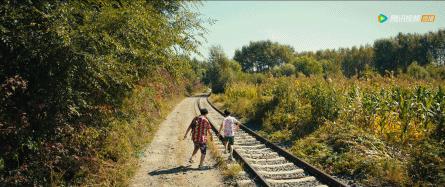 国产黑马不被看好却逆袭成功,国产黑马