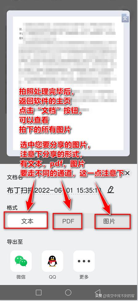 布丁扫描app官方下载,有免费扫描功能的app
