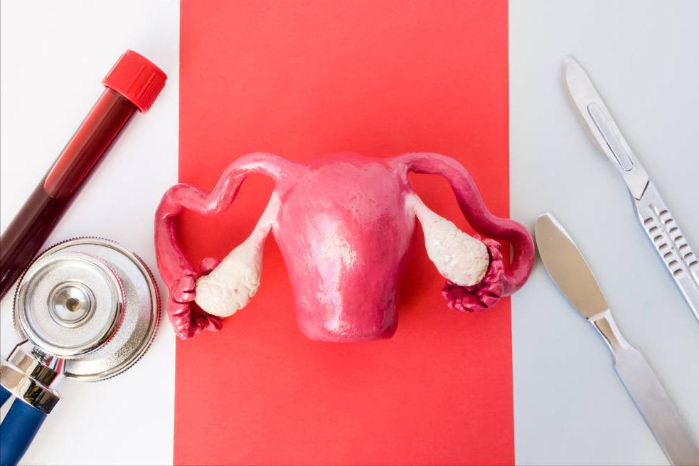 派特灵派特生物精选|早期子宫颈癌保留生育功能中国专家共识