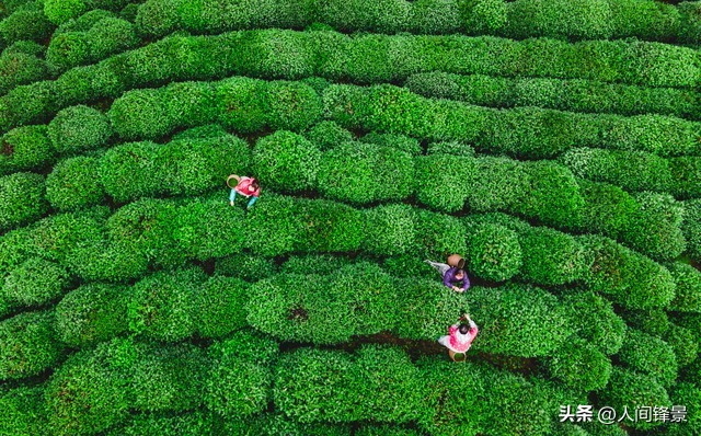 漫步杭州西湖,到杭州就感受下西湖的繁华与市井