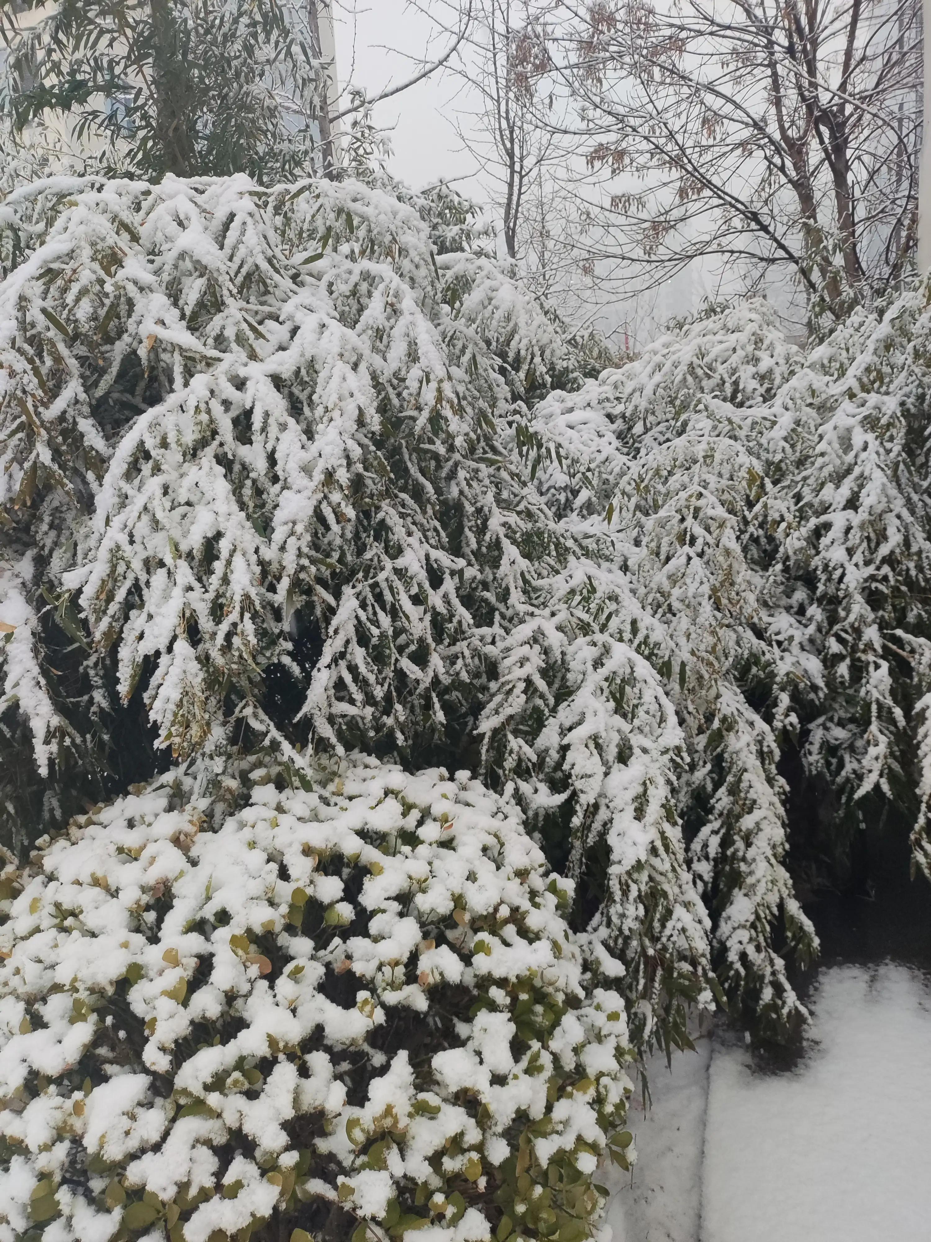 这几条可以一一对照