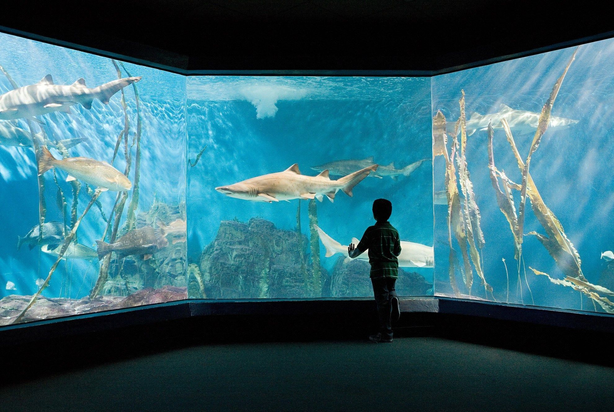 滨海新区到大连跟团旅游,长安滨海新区旅游景点