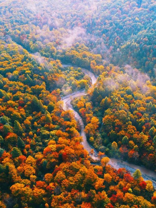 长白山的秋季,长白山夏天和秋天的区别