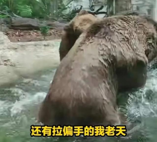 澶╂触澶уЖ鎵撴灦鎼炵瑧,澶╂触澶уЖ鎵撴灦鎼炵瑧瑙嗛