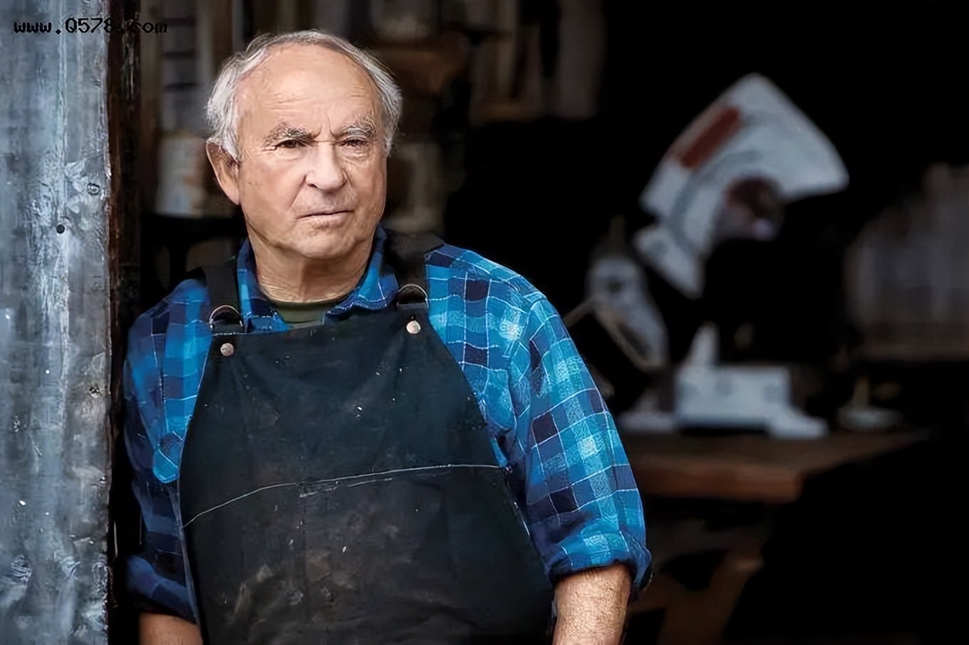 被卖狗贩的阿拉斯加,被卖的阿拉斯加