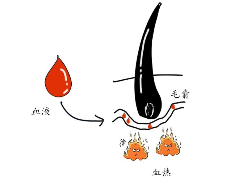 白头发什么原因产生的怎么治疗,白头发是从根部开始白是什么原因