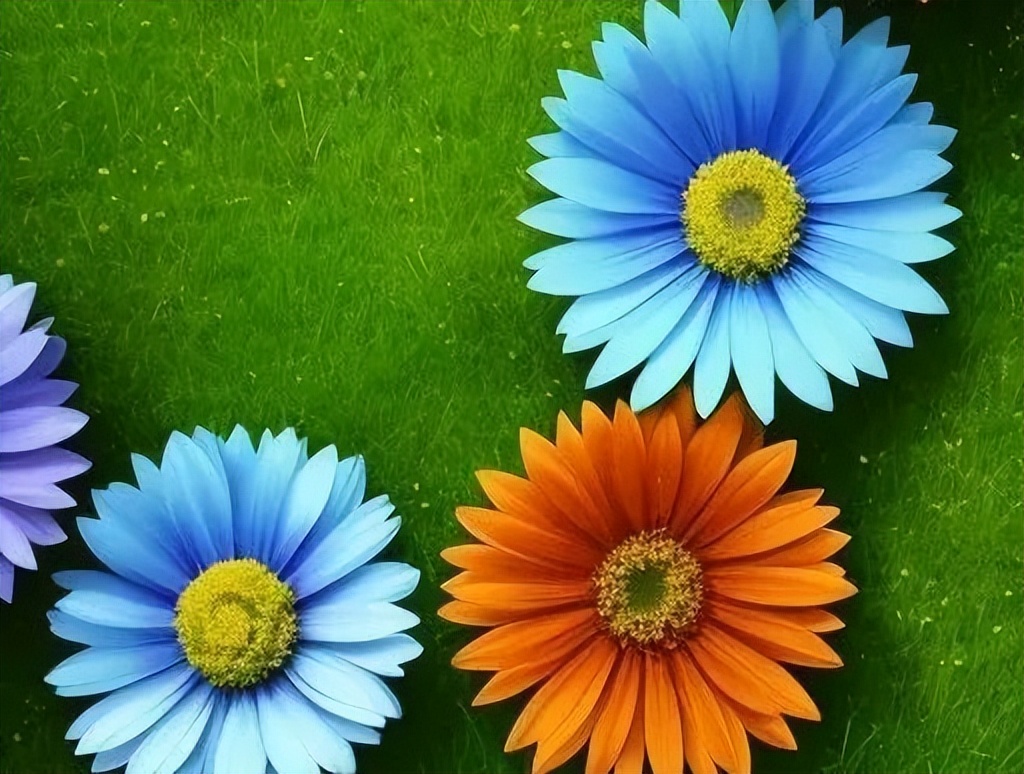 复盘笔记及展望,复盘这一年感触颇深