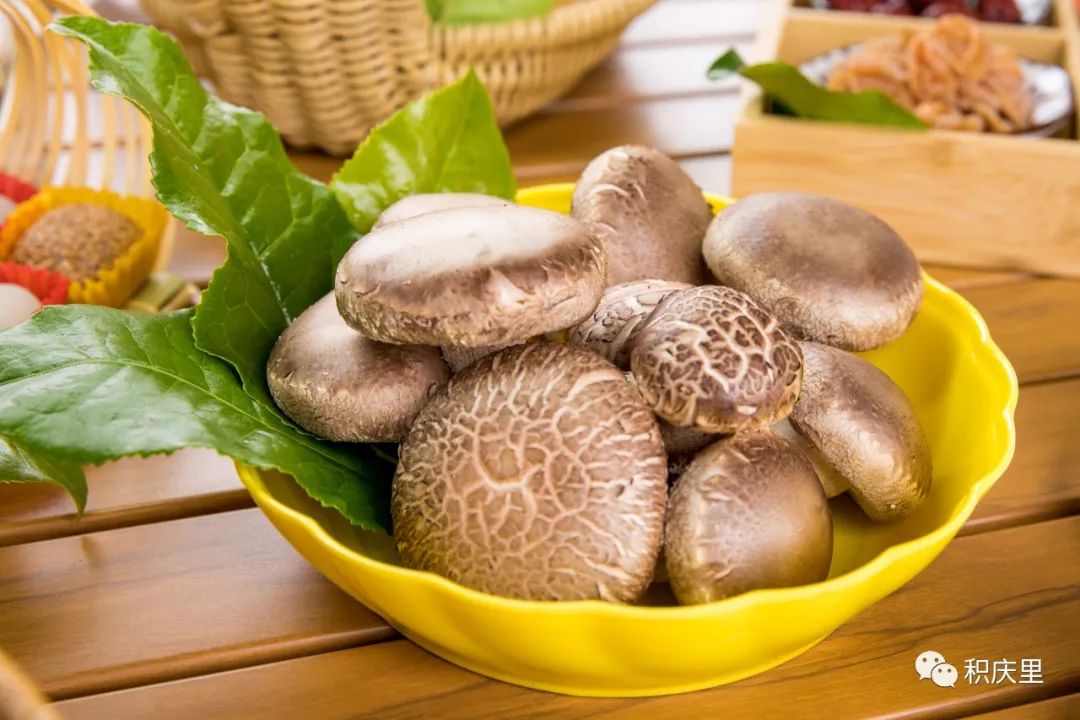 樱花烂漫，没有人会拒绝的粉色浪漫！