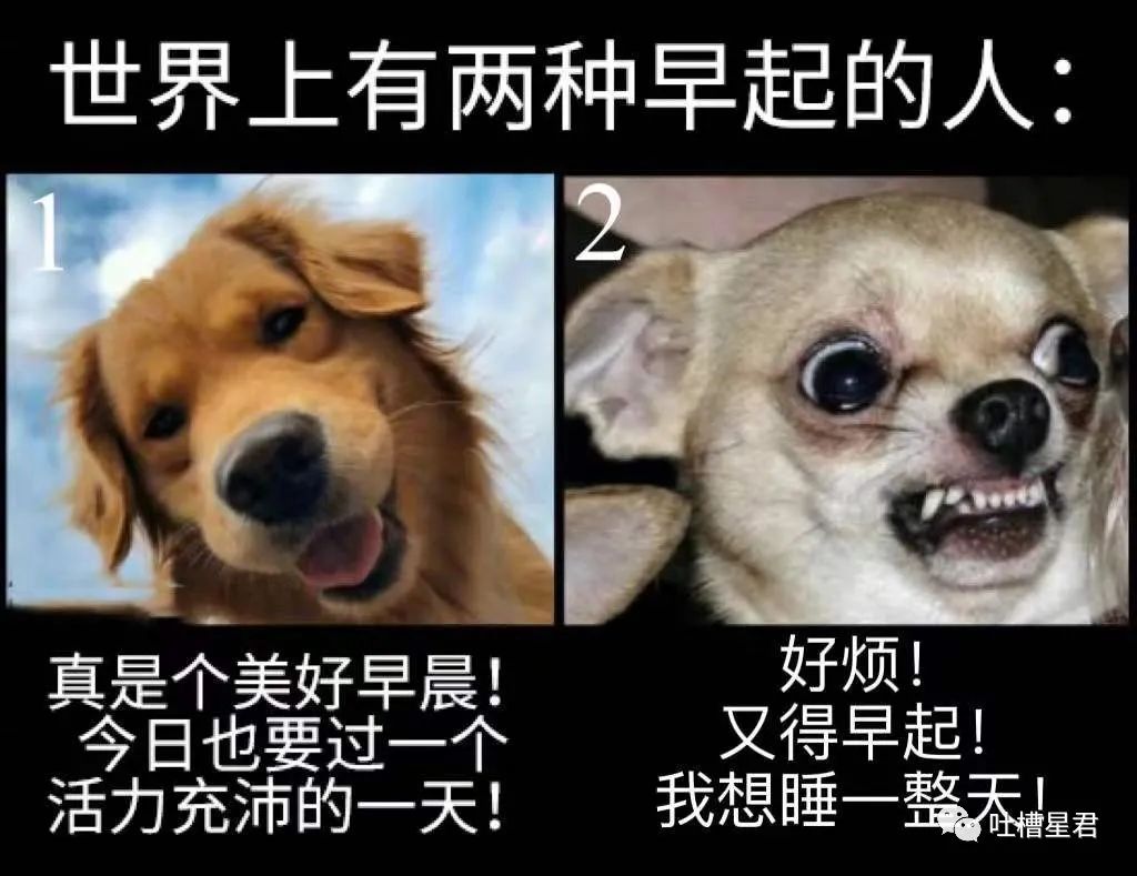 “男友花8150买包包，拆开后...”奢侈品不骗穷人！