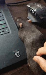 “易孕体质是种什么样的感受？”哇哈哈哈哈太真实了: